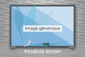 Module écran complet 14 pouces type 2 neuf d'origine Acer pour Acer Spin SP314-21